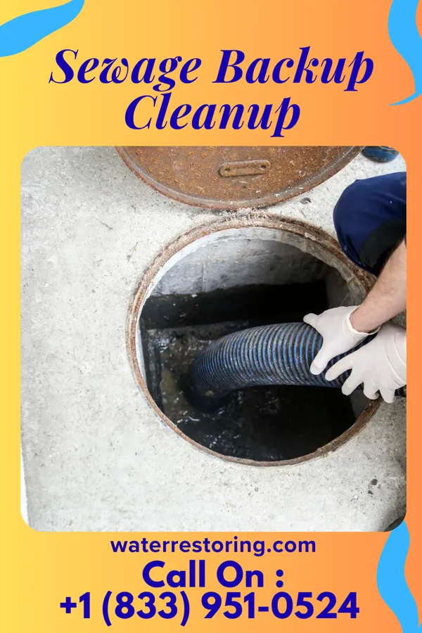 Sewage Backup Cleanup in Carpenter, IA